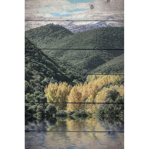 Let The Adventure Black Modern Wood Framed Art Print with Double Matting by Bailey, Ann