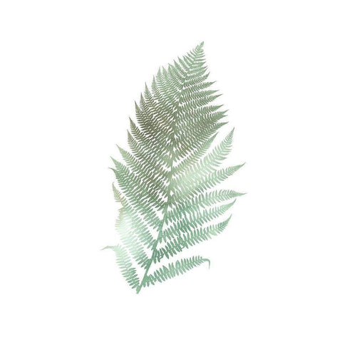 Watercolor Fern 2 White Modern Wood Framed Art Print by Bailey, Ann