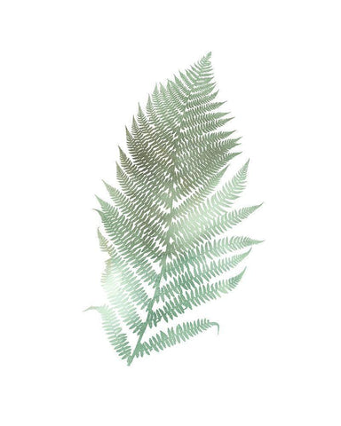 Watercolor Fern 2 White Modern Wood Framed Art Print with Double Matting by Bailey, Ann