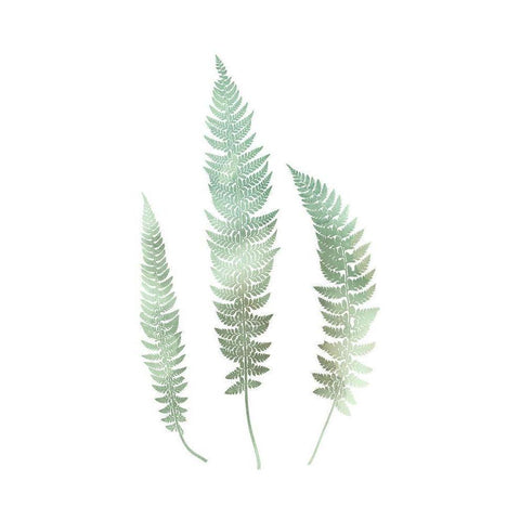 Watercolor Fern 3 White Modern Wood Framed Art Print by Bailey, Ann