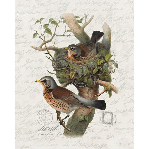 Nesting 1 Black Modern Wood Framed Art Print by Bailey, Ann