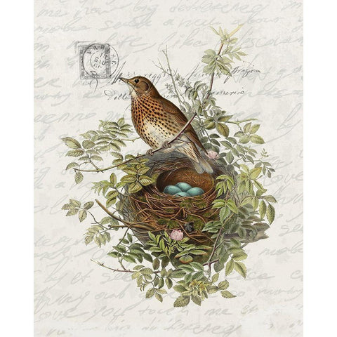 Nesting 2 White Modern Wood Framed Art Print by Bailey, Ann