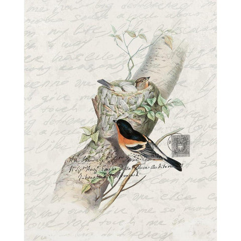 Nesting 3 Gold Ornate Wood Framed Art Print with Double Matting by Bailey, Ann