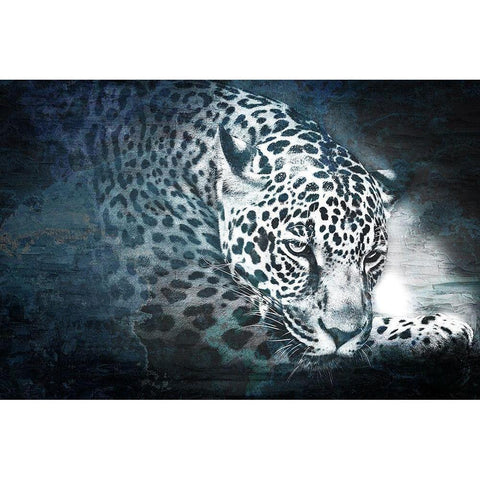 Jungle Cat Black Modern Wood Framed Art Print with Double Matting by Bailey, Ann