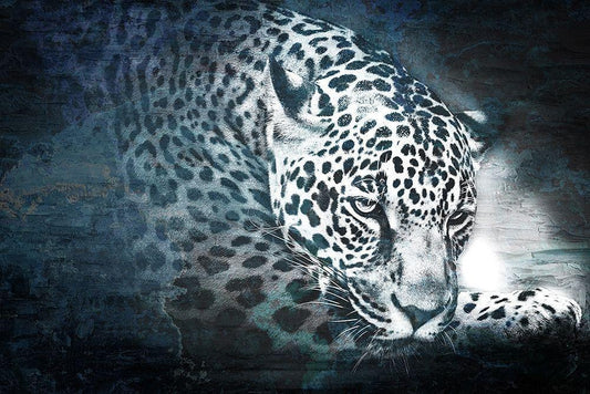 Image Only