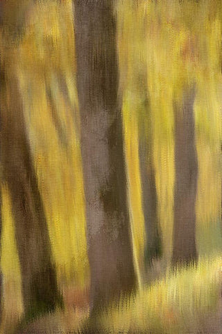 Autumns Edge Black Ornate Wood Framed Art Print with Double Matting by Bailey, Ann
