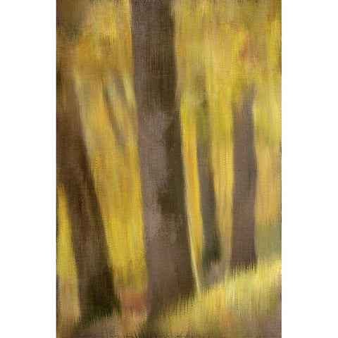 Autumns Edge Black Modern Wood Framed Art Print by Bailey, Ann