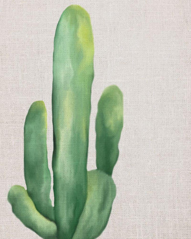 Linen Cactus 1 White Modern Wood Framed Art Print with Double Matting by Bailey, Ann