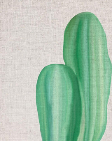 Linen Cactus 2 White Modern Wood Framed Art Print with Double Matting by Bailey, Ann