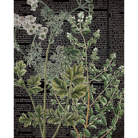 Botanical Newspaper 1 Gold Ornate Wood Framed Art Print with Double Matting by Bailey, Ann