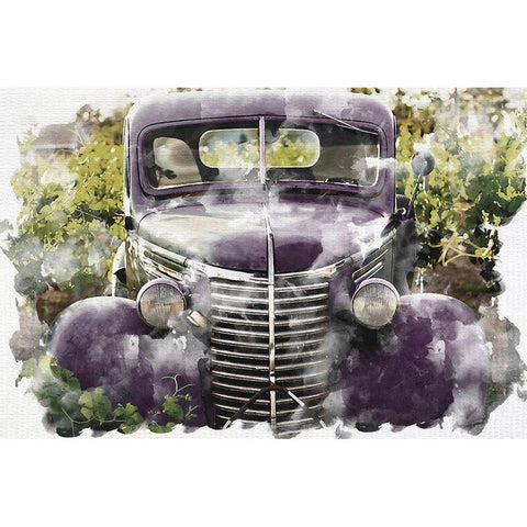 In the Field Black Modern Wood Framed Art Print by Bailey, Ann