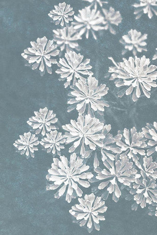 Blooms Falling 2_v2 White Modern Wood Framed Art Print with Double Matting by Bailey, Ann