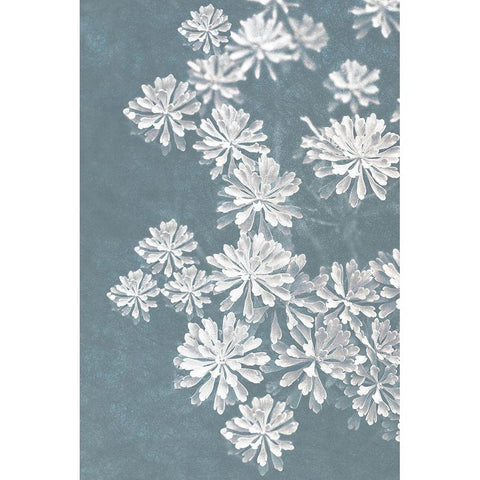 Blooms Falling 2_v2 Black Modern Wood Framed Art Print with Double Matting by Bailey, Ann