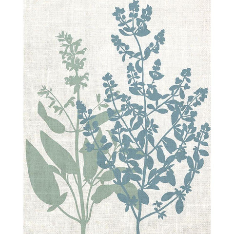 Linen Herbs 2 White Modern Wood Framed Art Print by Bailey, Ann