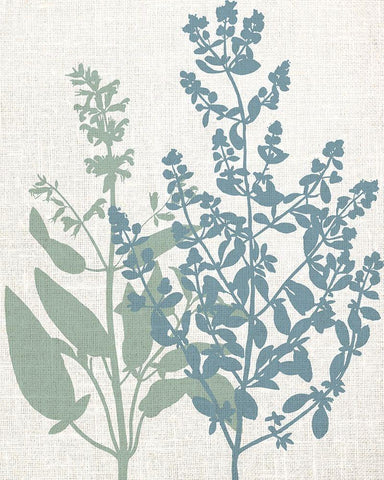 Linen Herbs 2 White Modern Wood Framed Art Print with Double Matting by Bailey, Ann