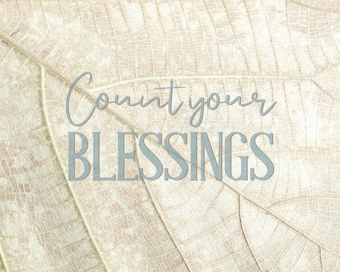 Count Your Blessings Leaf Black Ornate Wood Framed Art Print with Double Matting by Bailey, Ann