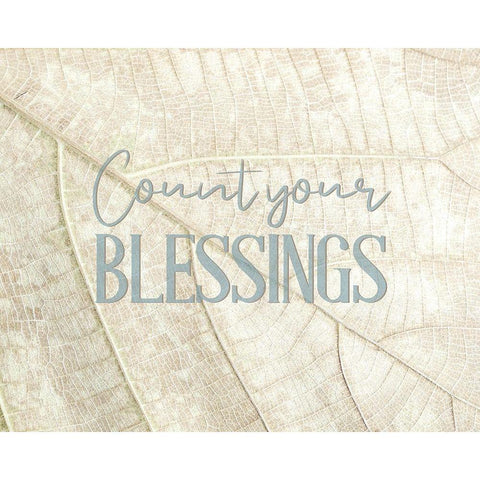 Count Your Blessings Leaf White Modern Wood Framed Art Print by Bailey, Ann