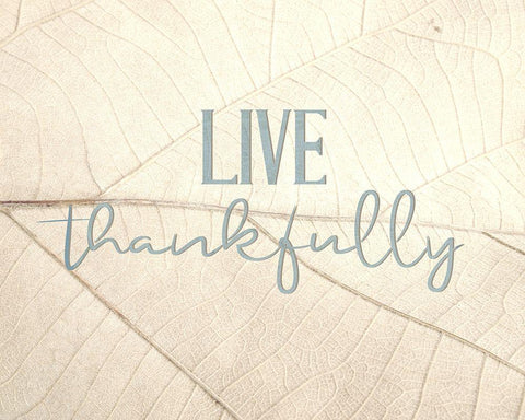 Live Thankfully White Modern Wood Framed Art Print with Double Matting by Bailey, Ann