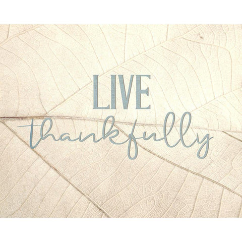 Live Thankfully Black Modern Wood Framed Art Print by Bailey, Ann