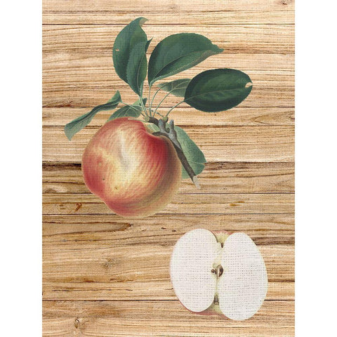 Pressed Fruit 1 Gold Ornate Wood Framed Art Print with Double Matting by Bailey, Ann