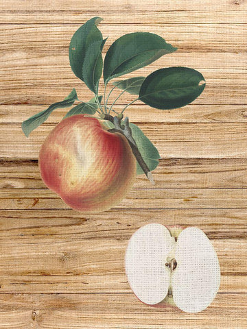 Pressed Fruit 1 White Modern Wood Framed Art Print with Double Matting by Bailey, Ann