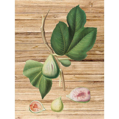 Pressed Fruit 2 White Modern Wood Framed Art Print by Bailey, Ann