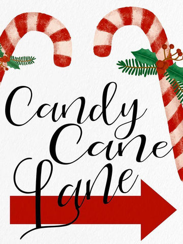 Candy Cane Lane White Modern Wood Framed Art Print with Double Matting by Bailey, Ann