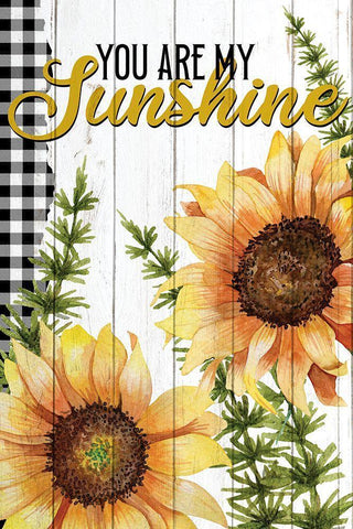 You Are My Sunshine White Modern Wood Framed Art Print with Double Matting by Bailey, Ann