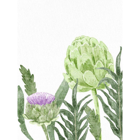 Watercolor Artichoke 1 White Modern Wood Framed Art Print by Bailey, Ann