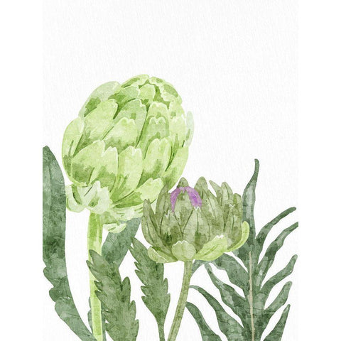 Watercolor Artichoke 2 Black Modern Wood Framed Art Print with Double Matting by Bailey, Ann