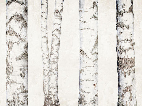 Birches Black Ornate Wood Framed Art Print with Double Matting by Bailey, Ann