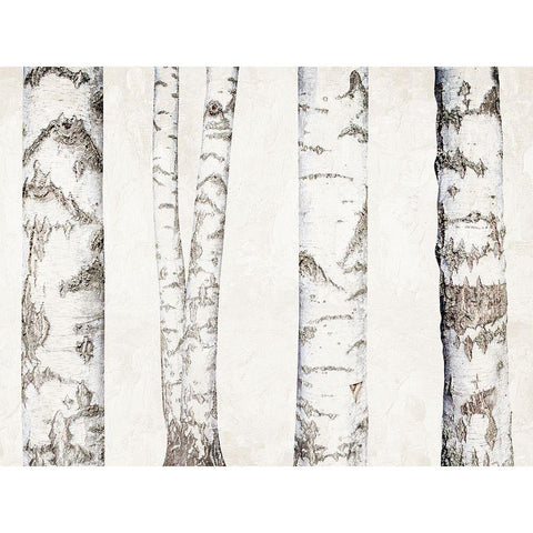 Birches Black Modern Wood Framed Art Print by Bailey, Ann