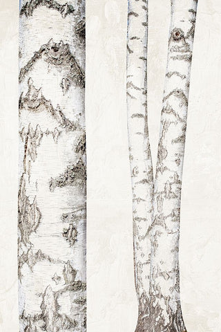 Birches 2 Black Ornate Wood Framed Art Print with Double Matting by Bailey, Ann
