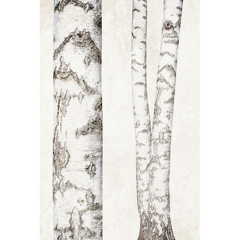 Birches 2 Black Modern Wood Framed Art Print by Bailey, Ann