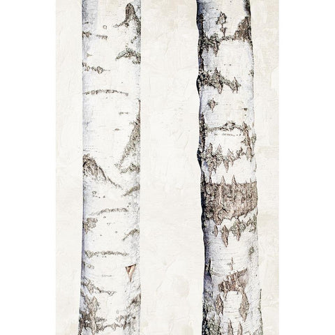 Birches 3 Black Modern Wood Framed Art Print by Bailey, Ann
