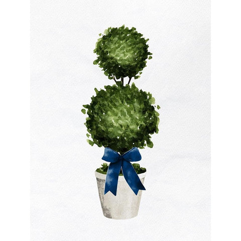 Topiaries 1 Black Modern Wood Framed Art Print with Double Matting by Bailey, Ann