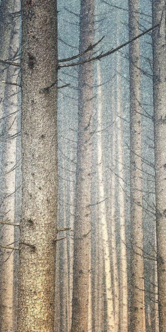 Forest Dreaming 1 White Modern Wood Framed Art Print with Double Matting by Bailey, Ann