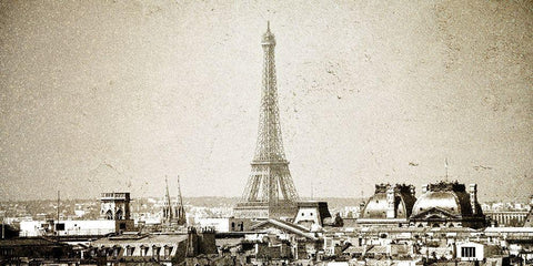 Paris Skyline Black Ornate Wood Framed Art Print with Double Matting by Bailey, Ann
