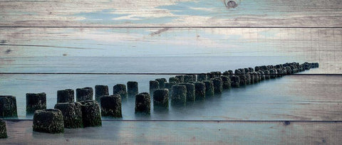 Endless Sea Black Ornate Wood Framed Art Print with Double Matting by Bailey, Ann