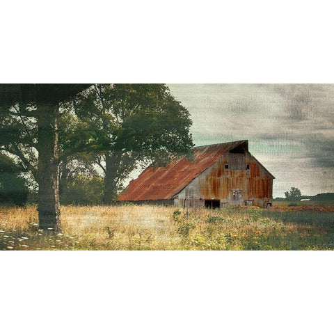 Country Life White Modern Wood Framed Art Print by Bailey, Ann