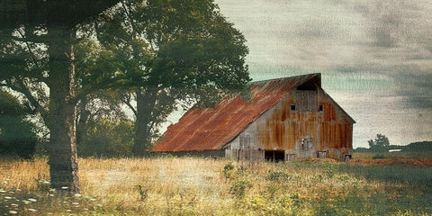 Country Life White Modern Wood Framed Art Print with Double Matting by Bailey, Ann