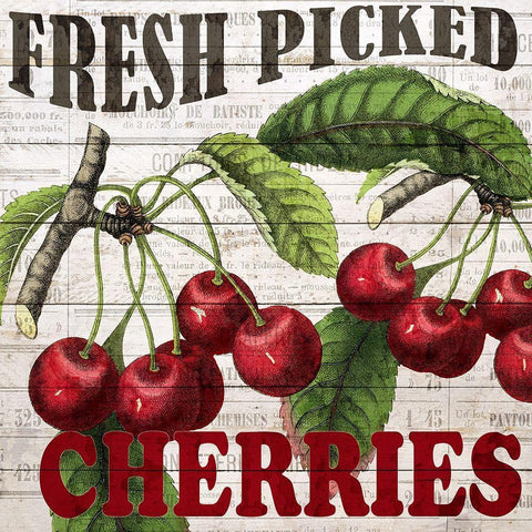 Fresh Picked Cherries White Modern Wood Framed Art Print by Bailey, Ann