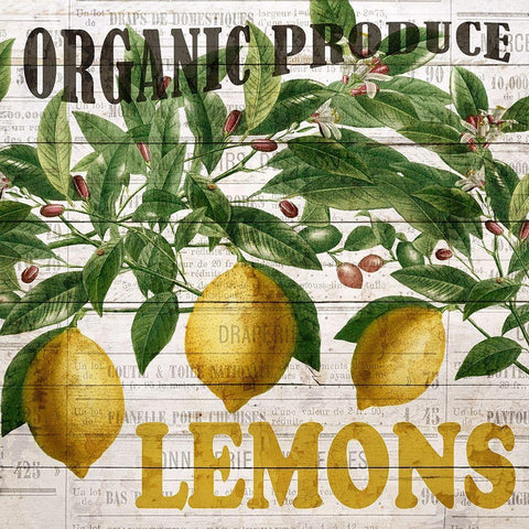 Fresh Picked Lemons Black Ornate Wood Framed Art Print with Double Matting by Bailey, Ann