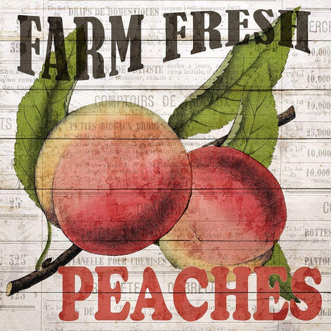 Fresh Picked Peaches Gold Ornate Wood Framed Art Print with Double Matting by Bailey, Ann