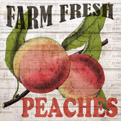 Fresh Picked Peaches Black Ornate Wood Framed Art Print with Double Matting by Bailey, Ann