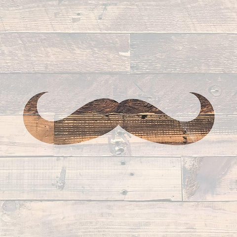Manly Men 3 White Modern Wood Framed Art Print with Double Matting by Bailey, Ann