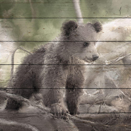 Image Only