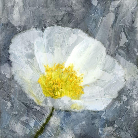 Poppy Blues 1 Gold Ornate Wood Framed Art Print with Double Matting by Bailey, Ann
