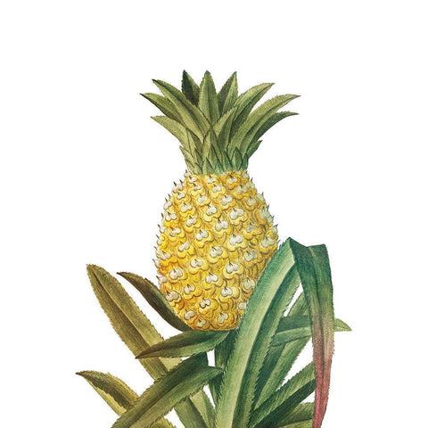 Aloha 4 White Modern Wood Framed Art Print by Bailey, Ann