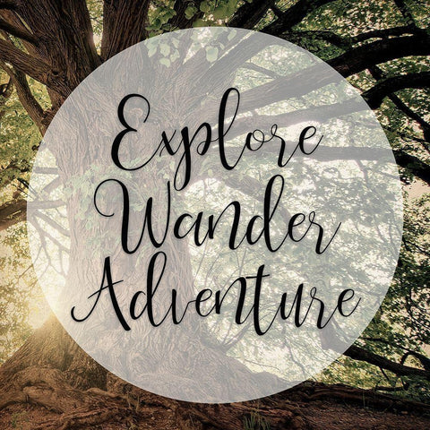 Explore Wander Adventure Black Ornate Wood Framed Art Print with Double Matting by Bailey, Ann